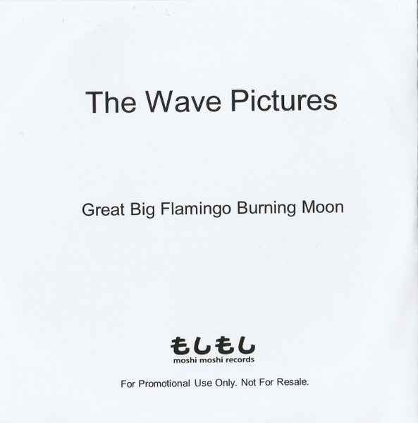 The Wave Pictures : Great Big Flamingo Burning Moon (CDr, Single, Promo)