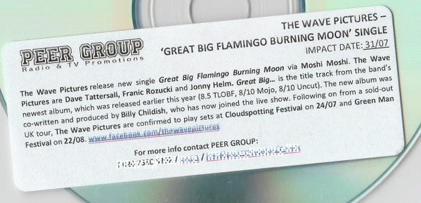 The Wave Pictures : Great Big Flamingo Burning Moon (CDr, Single, Promo)