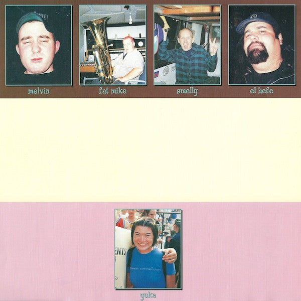 NOFX : So Long And Thanks For All The Shoes (LP, Album)