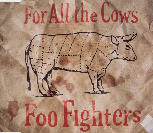 Foo Fighters : For All The Cows (CD, Single)