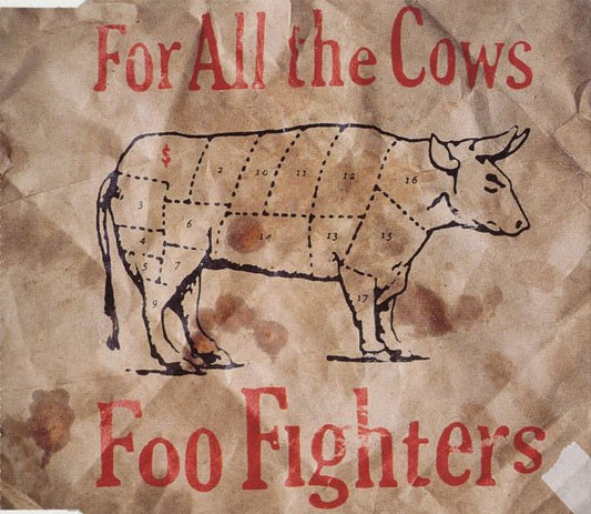 Foo Fighters : For All The Cows (CD, Single)