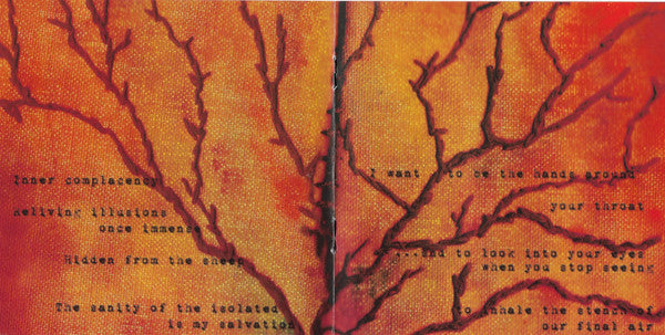 Nachtmystium : Instinct: Decay (CD, Album)