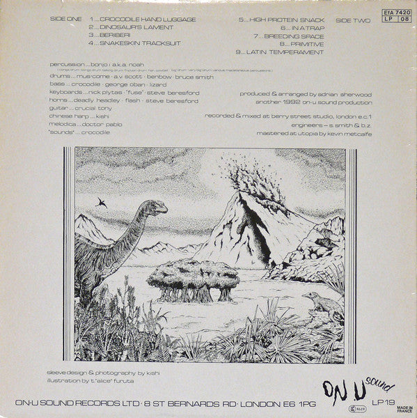 African Head Charge : Environmental Studies (LP, Album)