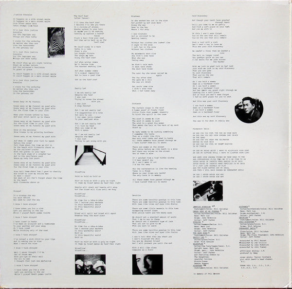 Smog : Dongs Of Sevotion (2xLP, Album)