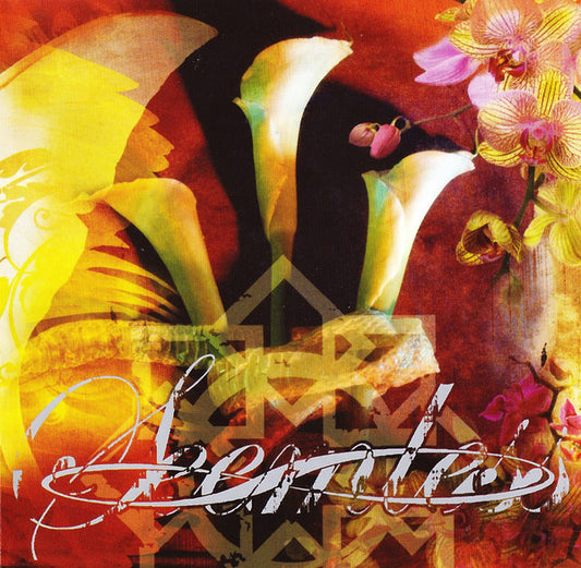 Seemless : What Have We Become (CD, Album)