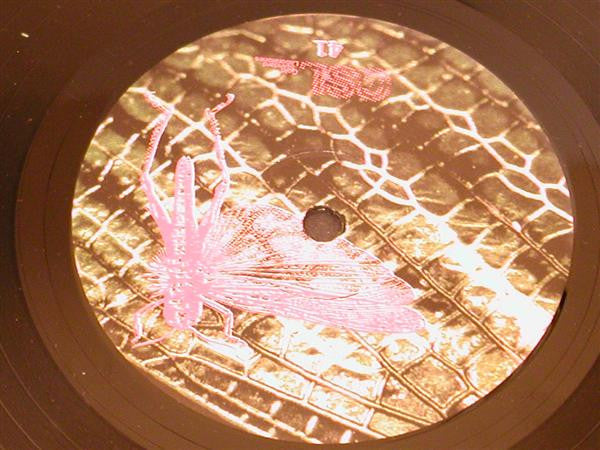 The Locust : Flight Of The Wounded Locust (7")