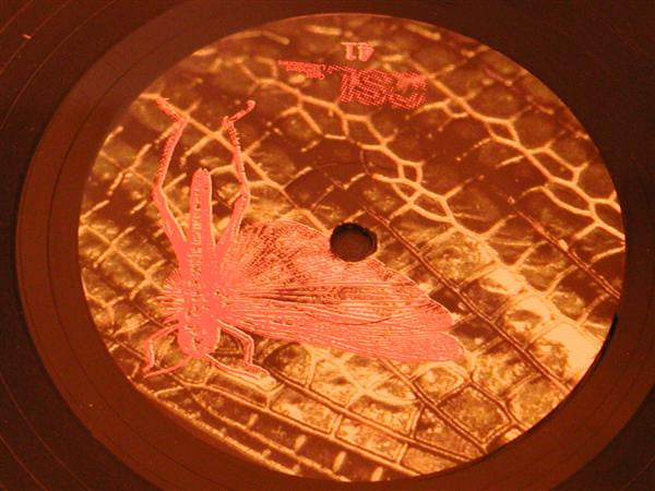 The Locust : Flight Of The Wounded Locust (7")