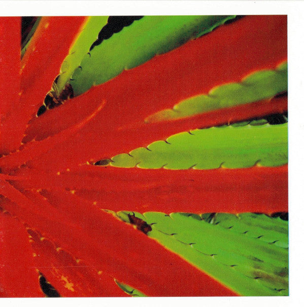 Jejune : This Afternoons Malady (CD, Album)