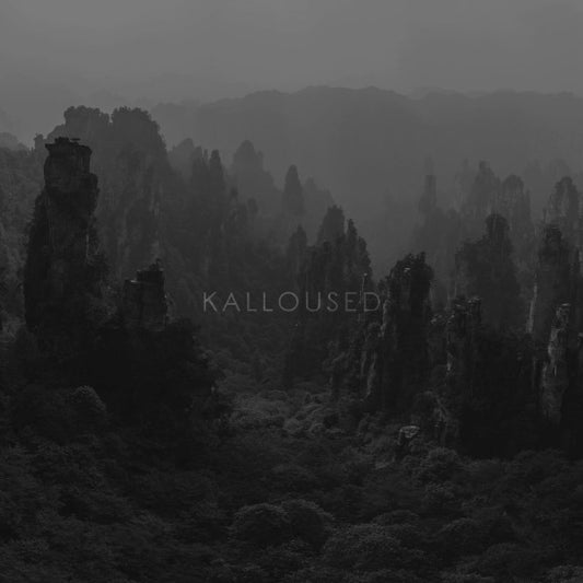 Kalloused : Damn You Believer (LP, Album, Cle)