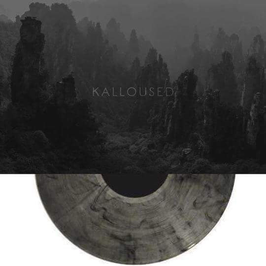 Kalloused : Damn You Believer (LP, Album, Cle)