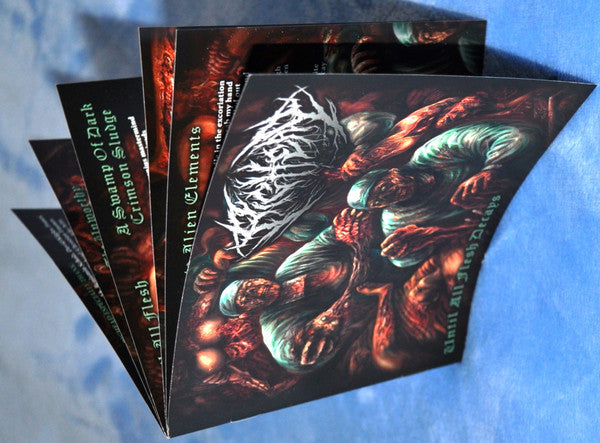 Pighead (2) : Until All Flesh Decays (CD, Album)