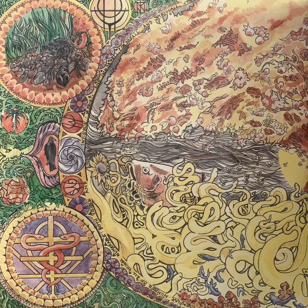 Fucked Up : Hidden World (2xLP, Album, Bla)