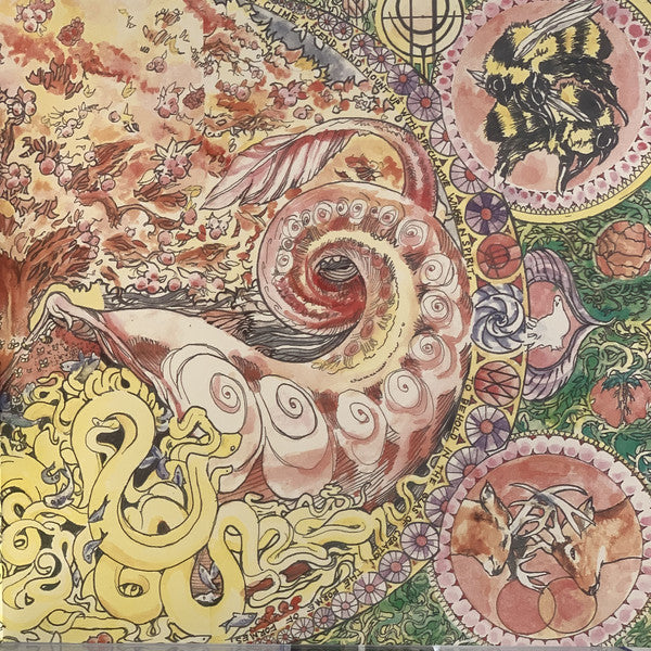 Fucked Up : Hidden World (2xLP, Album, Bla)