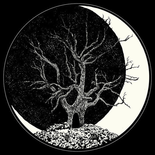 Dark Mother (2) / Shrykull : Dark Mother / Shrykull Split 7" (7", Ltd)