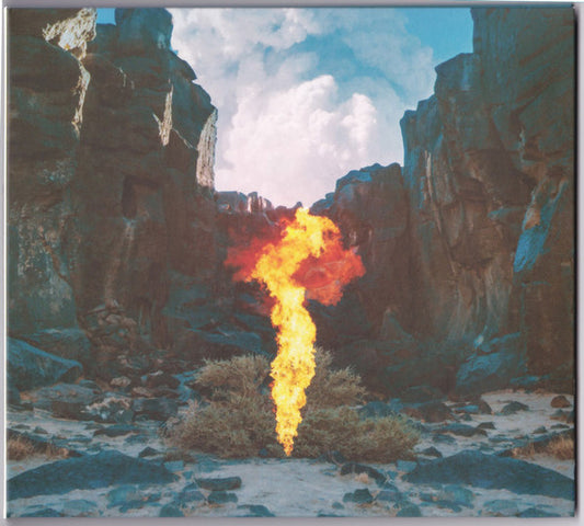Bonobo : Migration (CD, Album)
