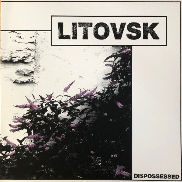 Litovsk – Dispossessed LP