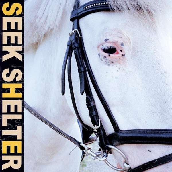 Iceage - Seek Shelter LP