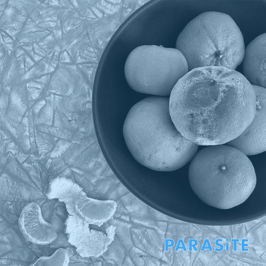 Cell Rot - Parasite LP