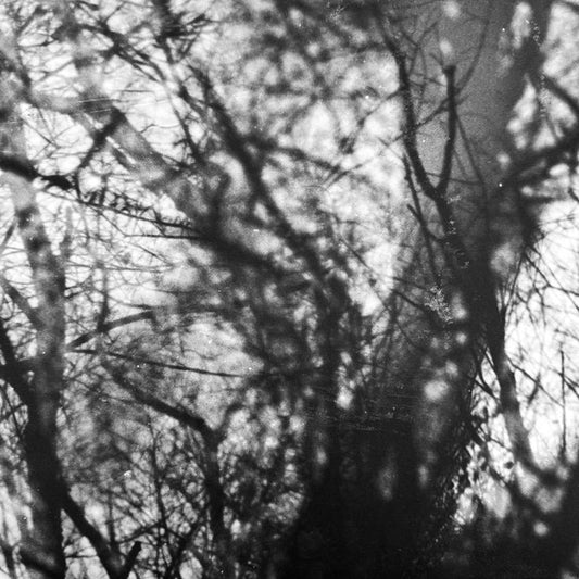 Grouper - Way Their Crept LP