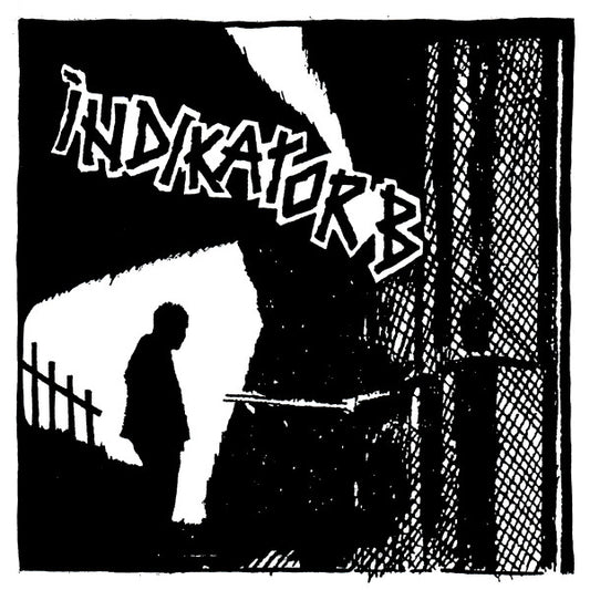 Indikator B - s/t 2 7"