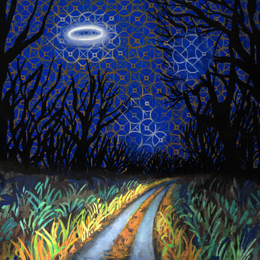 Toodles & The Hectic Pity - Every Night is a Beautiful Night 7"