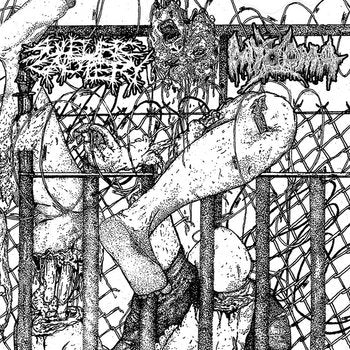 Sulfuric Cautery / Myxoma - Split 7"