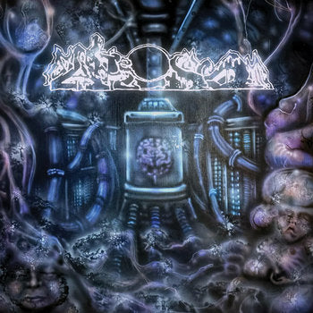 Fake Dust – Decrepitizing Din Of The Cerebral Psyopticon LP