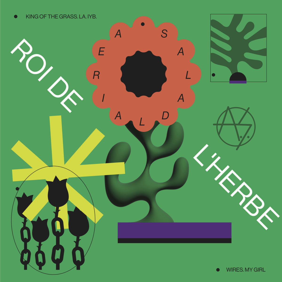 Aerial Salad - Roi De L'Herbe 12"