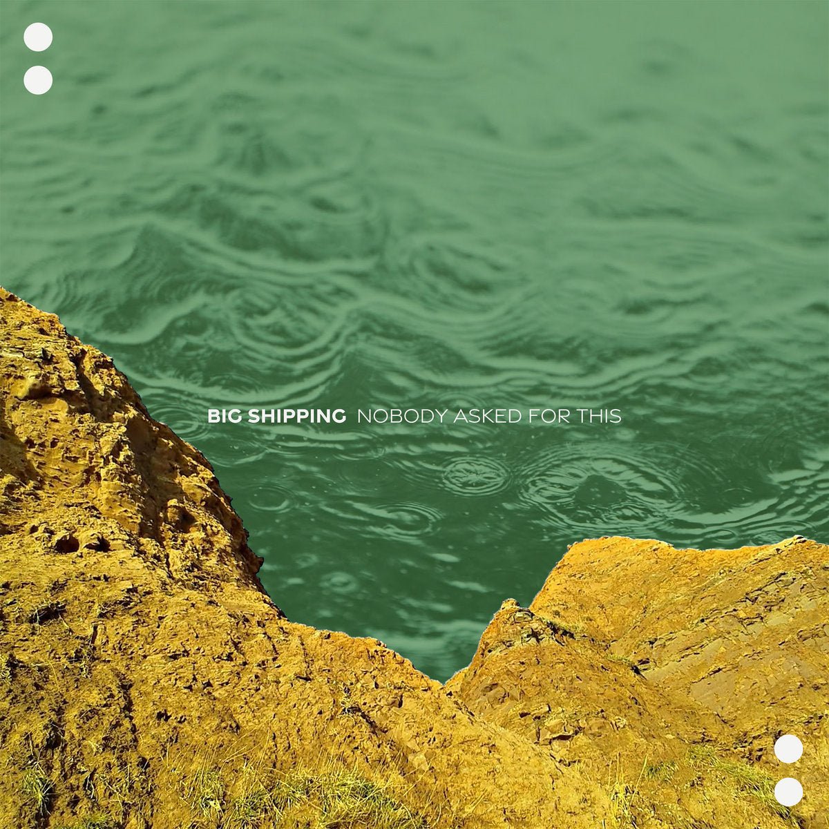 Big Shipping - Nobody Asked For This LP - Vinyl - Freakscene