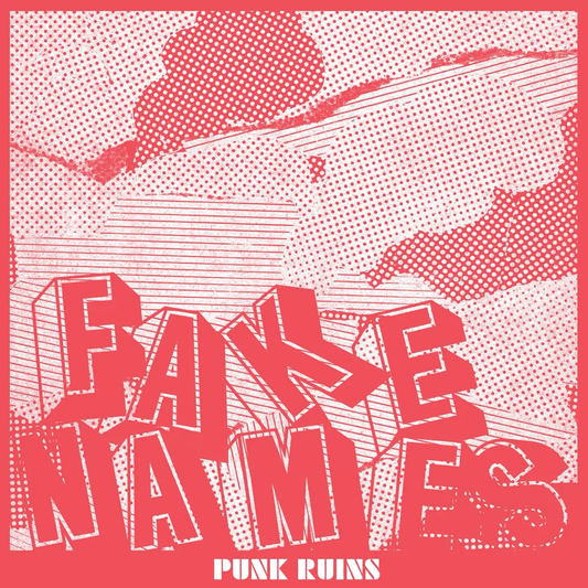 Fake Names - Punk Ruins LP