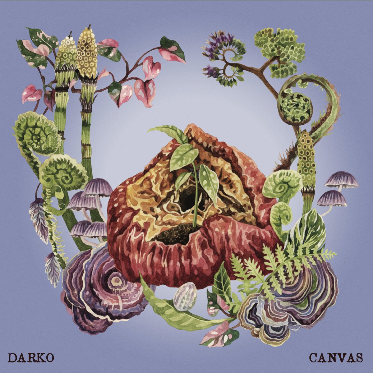 Darko - Canvas LP - Vinyl - Lockjaw