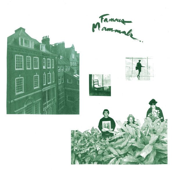 Famous Mammals - s/t LP - Vinyl - Inscrutable