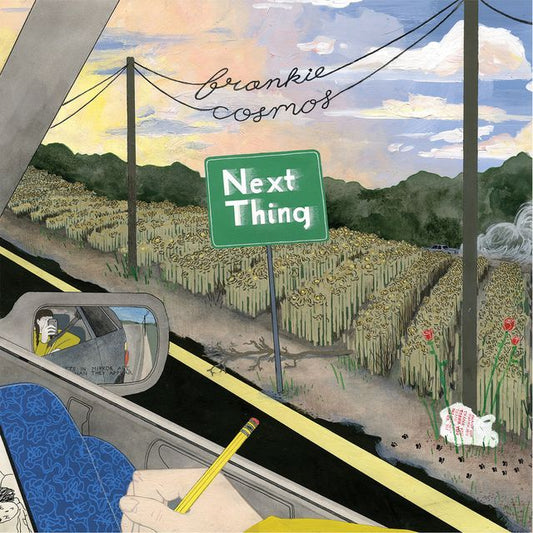 Frankie Cosmos - Next Thing (10th Anniversary Edition) LP (RSD 2026) - Vinyl - Bayonet Records