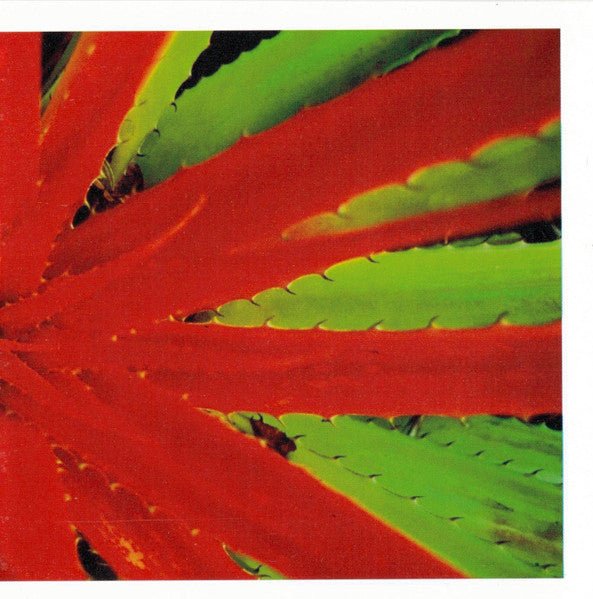 Jejune - This Afternoons Malady LP - Vinyl - Numero Group