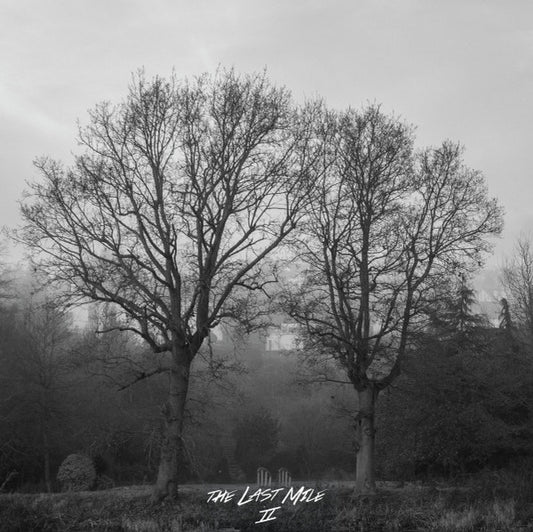 The Last Mile - II 7"