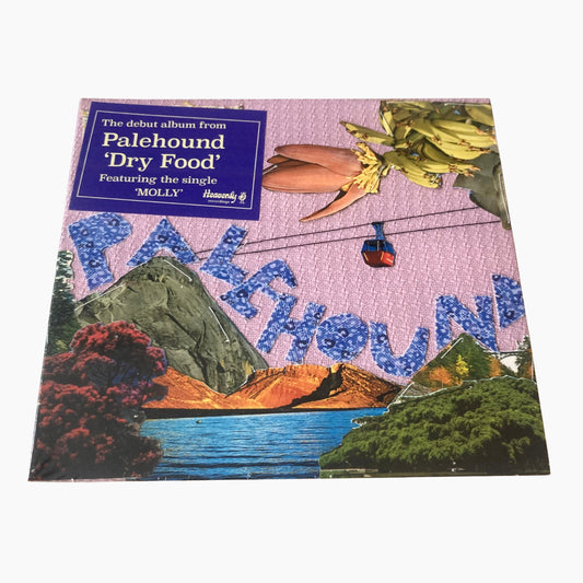 Palehound - Dry Food CD