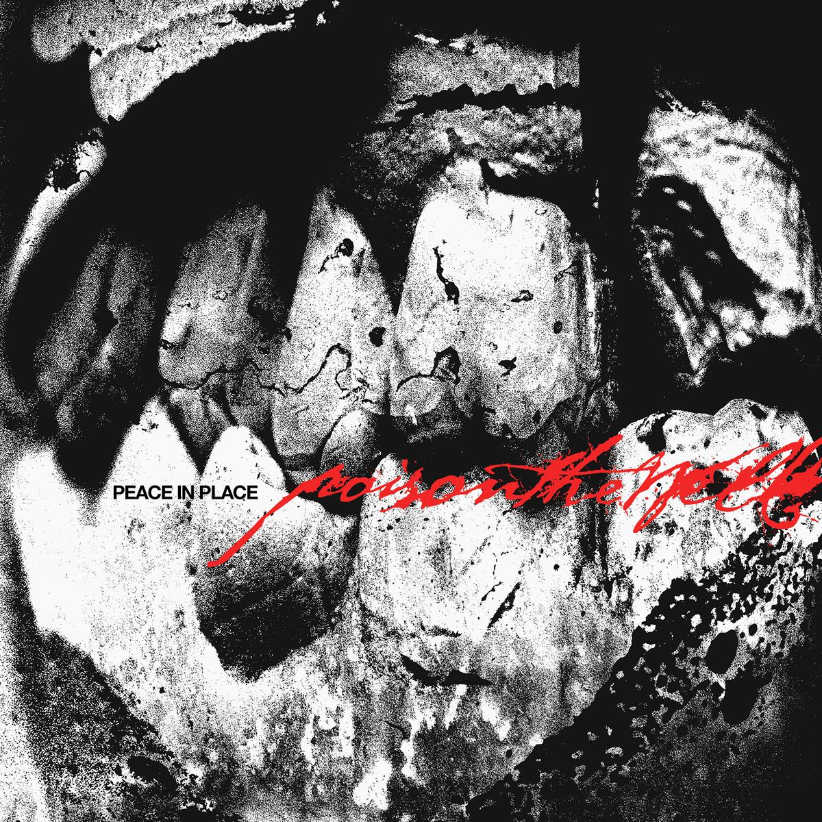 Poison the Well - Peace In Place LP - Vinyl - Sharptone