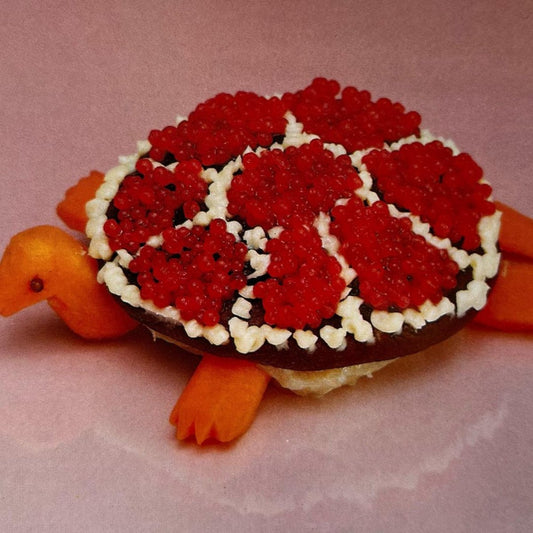 Sharp Pins - Turtle Rock LP - Vinyl - K Records