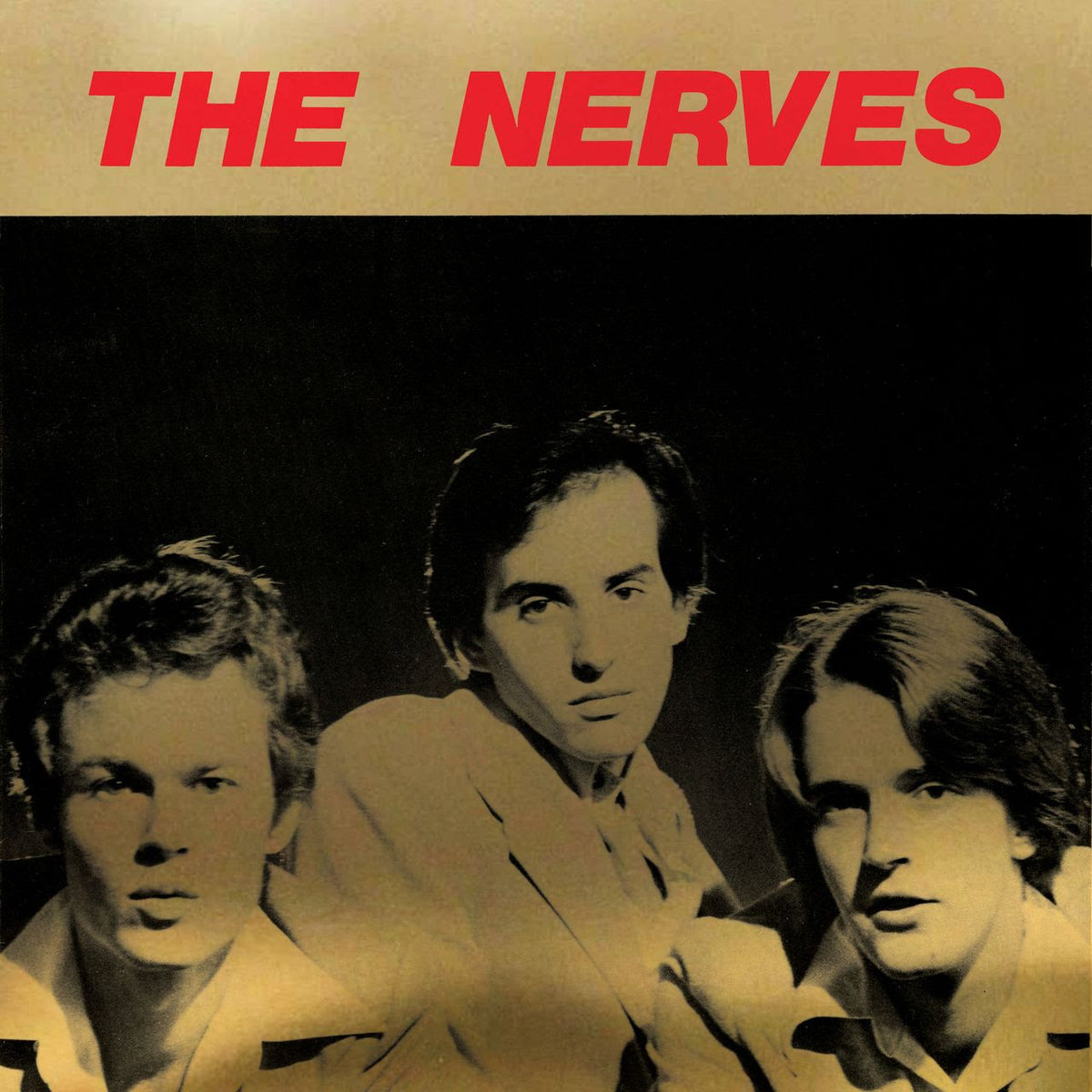 The Nerves - Best Collection 2xLP / CD
