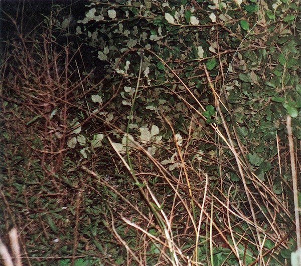 USED: Add N To (X) - Add Insult To Injury (CD, Album) - Used - Used