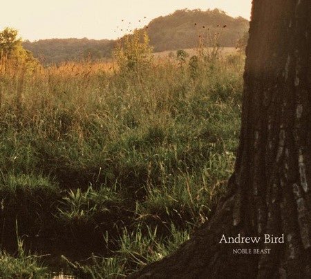 USED: Andrew Bird - Noble Beast (CD, Album, Dig) - Used - Used