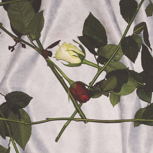 USED: Chain Of Flowers - Chain Of Flowers (LP, Album) - Used - Used