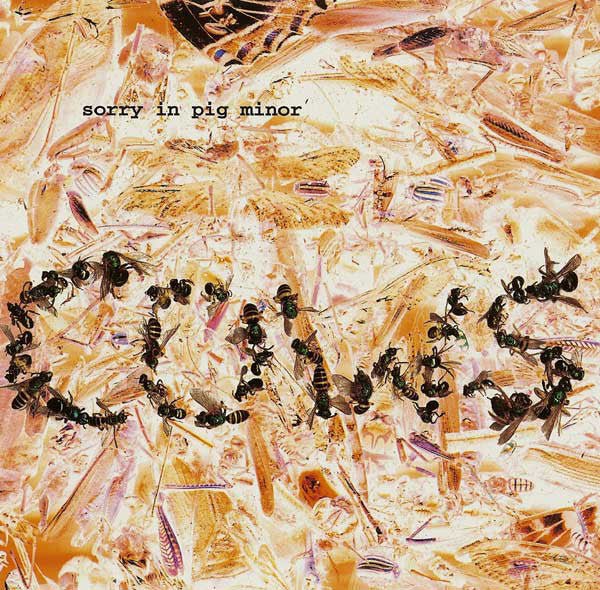 USED: Cows - Sorry In Pig Minor (CD, Album) - Used - Used