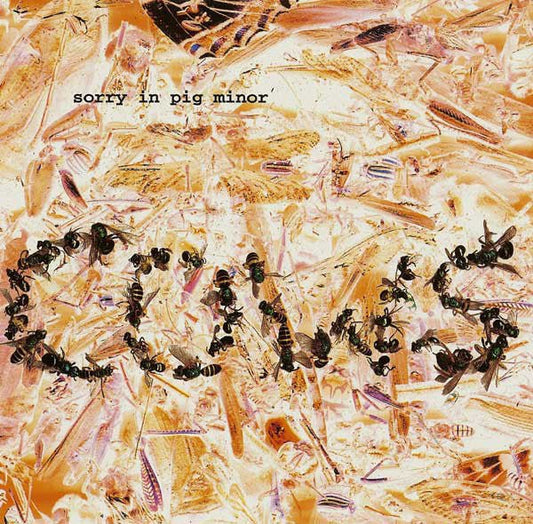 USED: Cows - Sorry In Pig Minor (CD, Album) - Used - Used