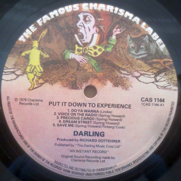 USED: Darling - Put It Down To Experience (LP) - Used - Used