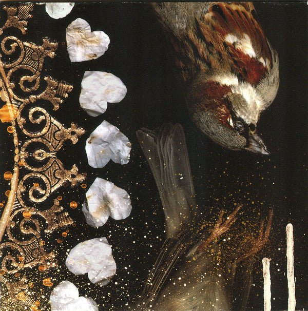 USED: Dead Hearts - Bitter Verses (CD, Album) - Used - Used
