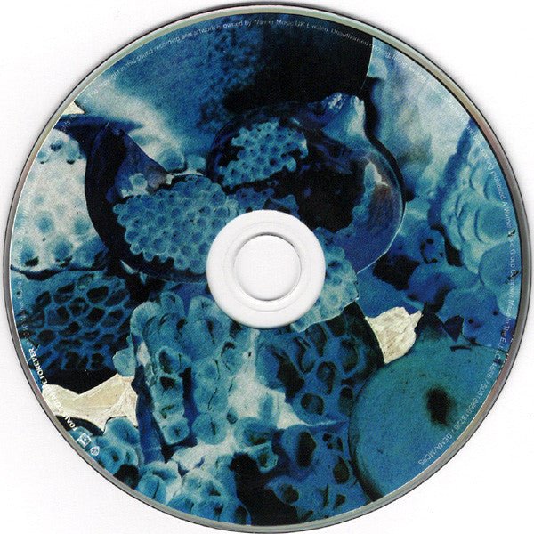 USED: Foals - Total Life Forever (CD, Album) - Used - Used