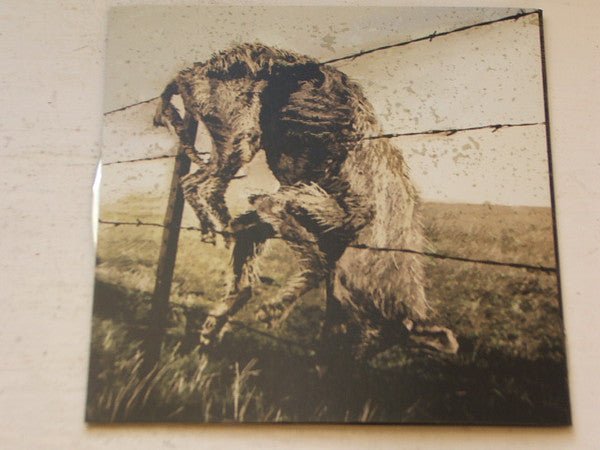 USED: Kill The Client - Set For Extinction (CD, Album) - Used - Used