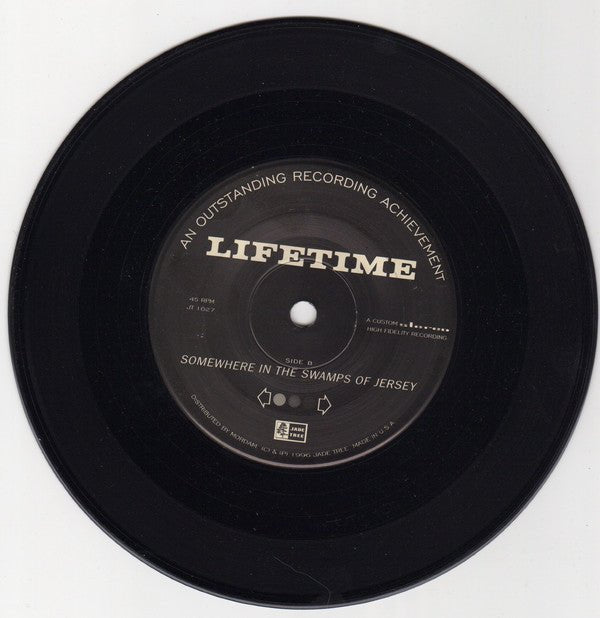 USED: Lifetime - An Outstanding Recording Achievement (7") - Used - Used