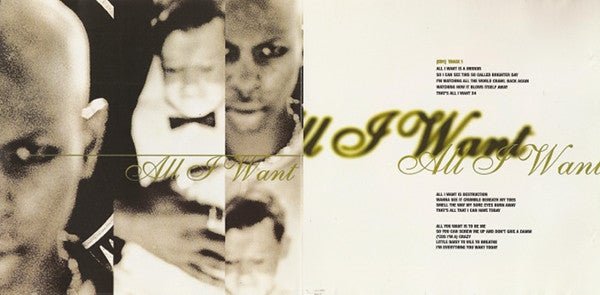 USED: Skunk Anansie - All I Want (CD, Single, CD1) - Used - Used